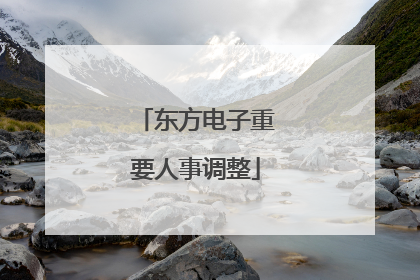 东方电子重要人事调整