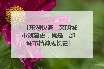 东湖快语｜文明城市创建史，就是一部城市精神成长史