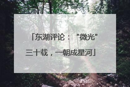 东湖评论：“微光”三十载，一朝成星河