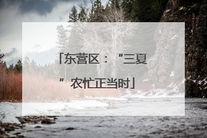 东营区：“三夏”农忙正当时