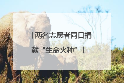 两名志愿者同日捐献“生命火种”