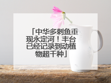 中华多刺鱼重现永定河！丰台已经记录到动植物超千种