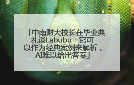 中南财大校长在毕业典礼谈Labubu：它可以作为经典案例来解析，AI难以给出答案