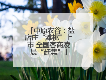 中原农谷：盐店庄“滩桃”上市 全国客商凌晨“赶集”