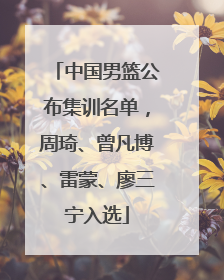 中国男篮公布集训名单，周琦、曾凡博、雷蒙、廖三宁入选