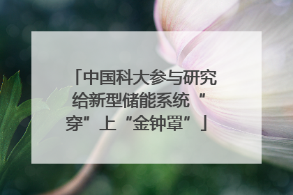 中国科大参与研究 给新型储能系统“穿”上“金钟罩”
