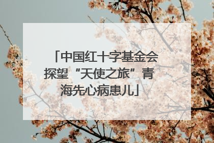 中国红十字基金会探望“天使之旅”青海先心病患儿