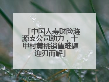 中国人寿财险涟源支公司助力，十甲村黄桃销售难题迎刃而解