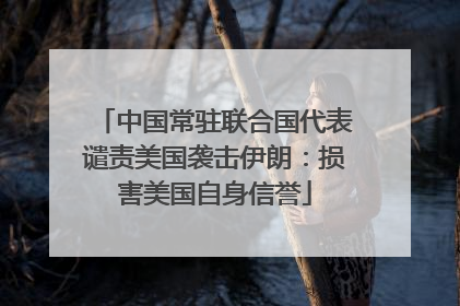 中国常驻联合国代表谴责美国袭击伊朗：损害美国自身信誉