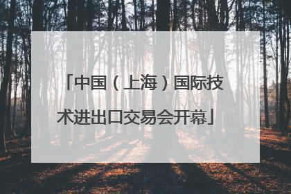 中国（上海）国际技术进出口交易会开幕
