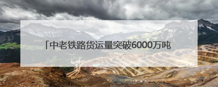 中老铁路货运量突破6000万吨 跨境运输商品种类达3000余种