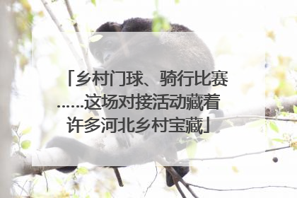 乡村门球、骑行比赛……这场对接活动藏着许多河北乡村宝藏