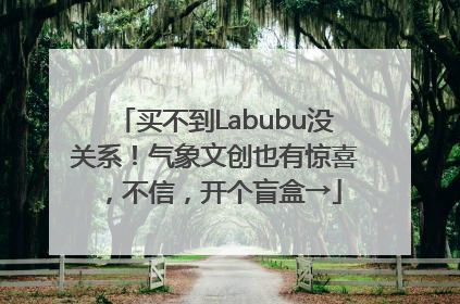 买不到Labubu没关系！气象文创也有惊喜，不信，开个盲盒→