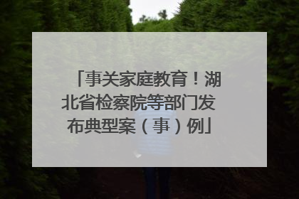 事关家庭教育！湖北省检察院等部门发布典型案（事）例