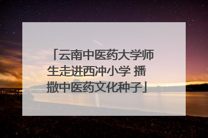 云南中医药大学师生走进西冲小学 播撒中医药文化种子