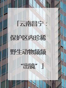 云南昌宁：保护区内珍稀野生动物频频“出镜”