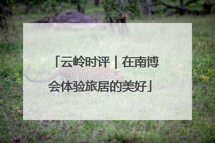 云岭时评｜在南博会体验旅居的美好