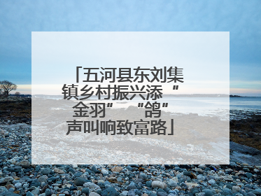 五河县东刘集镇乡村振兴添“金羽” “鸽”声叫响致富路