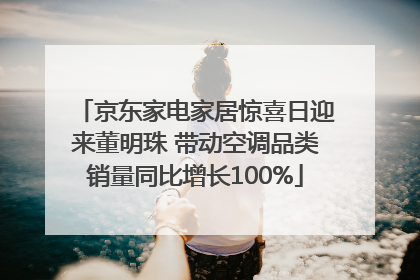京东家电家居惊喜日迎来董明珠 带动空调品类销量同比增长100%