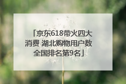 京东618带火四大消费 湖北购物用户数全国排名第9名
