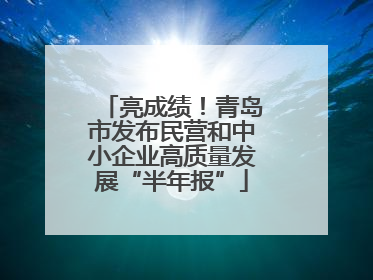亮成绩！青岛市发布民营和中小企业高质量发展“半年报”