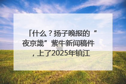 什么？扬子晚报的“夜京畿”紫牛新闻稿件，上了2025年镇江中考模拟卷！