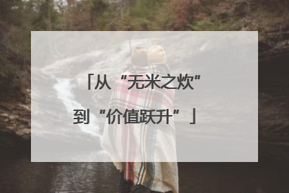 从“无米之炊”到“价值跃升”