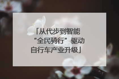 从代步到智能 “全民骑行”驱动自行车产业升级