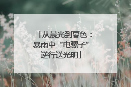 从晨光到暮色：暴雨中“电骡子”逆行送光明