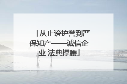 从止谤护誉到严保知产——诚信企业 法典撑腰