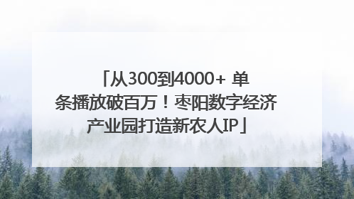 从300到4000+ 单条播放破百万！枣阳数字经济产业园打造新农人IP