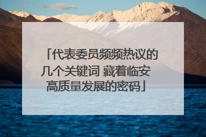 代表委员频频热议的几个关键词 藏着临安高质量发展的密码