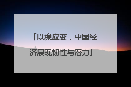 以稳应变，中国经济展现韧性与潜力