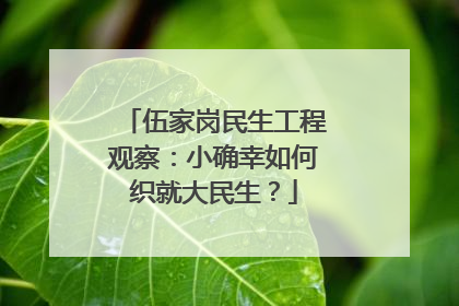 伍家岗民生工程观察：小确幸如何织就大民生？