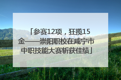 参赛12项，狂揽15金——崇阳职校在咸宁市中职技能大赛斩获佳绩