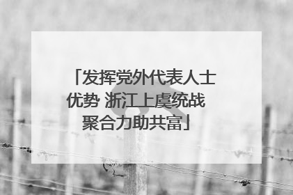 发挥党外代表人士优势 浙江上虞统战聚合力助共富