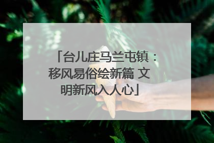 台儿庄马兰屯镇：移风易俗绘新篇 文明新风入人心