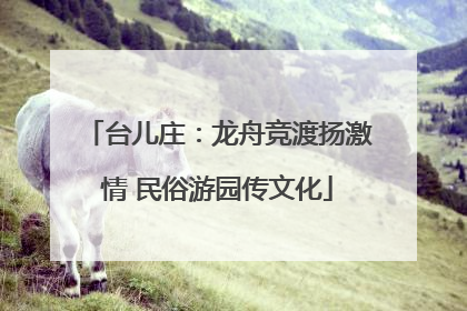 台儿庄：龙舟竞渡扬激情 民俗游园传文化