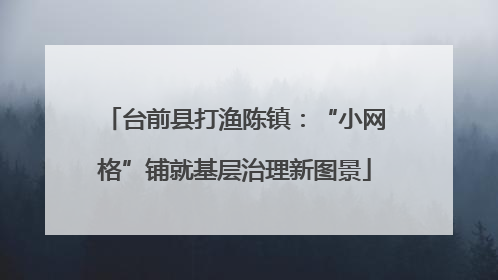 台前县打渔陈镇：“小网格”铺就基层治理新图景