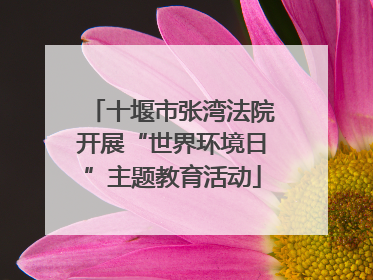 十堰市张湾法院开展“世界环境日”主题教育活动