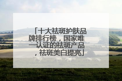 十大祛斑护肤品牌排行榜，国家唯一认证的祛斑产品，祛斑美白提亮