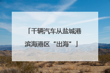 千辆汽车从盐城港滨海港区“出海”