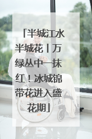 半城江水半城花丨万绿丛中一抹红！冰城锦带花进入盛花期