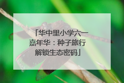 华中里小学六一嘉年华：种子旅行解锁生态密码