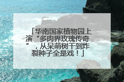 华南国家植物园上演“多肉界玫瑰传奇”，从呆萌树干到炸裂种子全是戏！