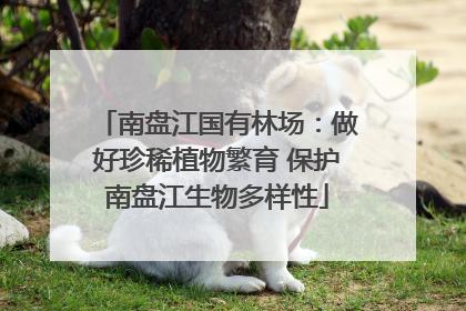 南盘江国有林场：做好珍稀植物繁育 保护南盘江生物多样性