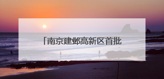 南京建邺高新区首批信创消费券兑现！第二批申报即将启动