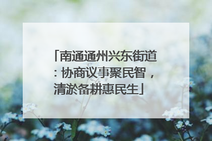 南通通州兴东街道：协商议事聚民智，清淤备耕惠民生