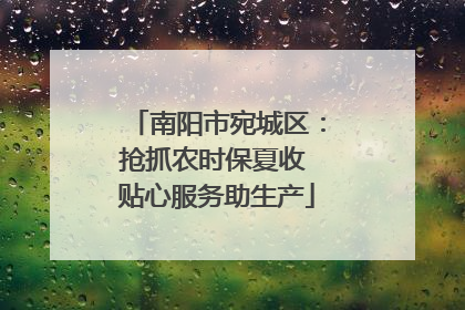 南阳市宛城区：抢抓农时保夏收 贴心服务助生产