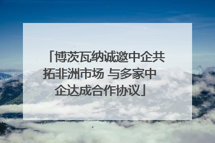 博茨瓦纳诚邀中企共拓非洲市场 与多家中企达成合作协议